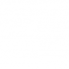 5W Analog Modulation RGB with SD (big case)